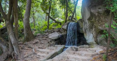 Авто-пешеходная экскурсия из Алушты (фото 25)