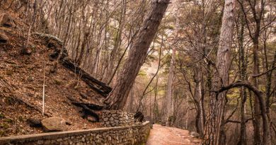 Экскурсия из Алушты: Хит сезона - «Супер-тур» фото 8391
