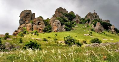 Авто-пешеходная экскурсия из Ялты (фото 7)