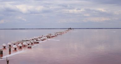 Экскурсии в Озеро Сасык-Сиваш (розовое озеро) из Малого Маяка 2024