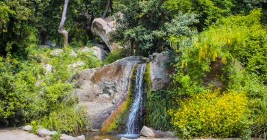 Авто-пешеходная экскурсия из Алушты (фото 42)